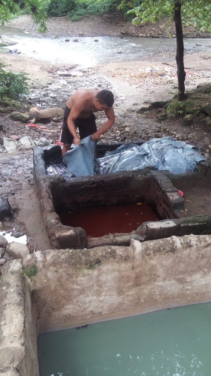 Cuero2